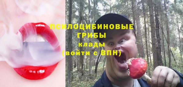 гидра Балабаново
