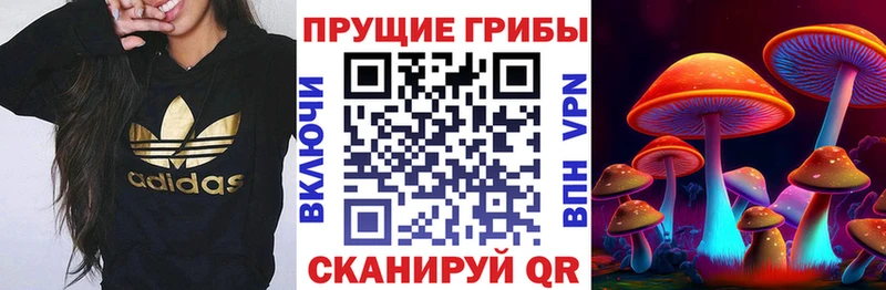Псилоцибиновые грибы прущие грибы  купить   Верещагино 